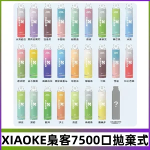 梟客XIAOKE|7500口可發光拋棄式電子煙 跑馬燈一次性